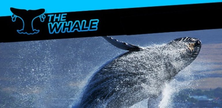 The Whale 888Poker